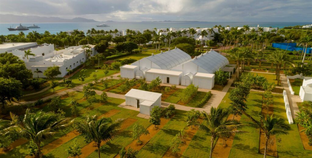 Aurora Anguilla Farm