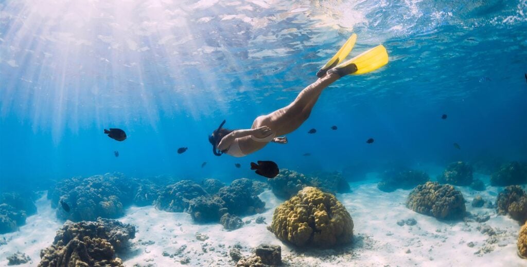 istock-1213491222-1- Snorkel at Aurora Anguilla