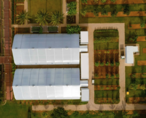 self-sustaining hydroponic farm